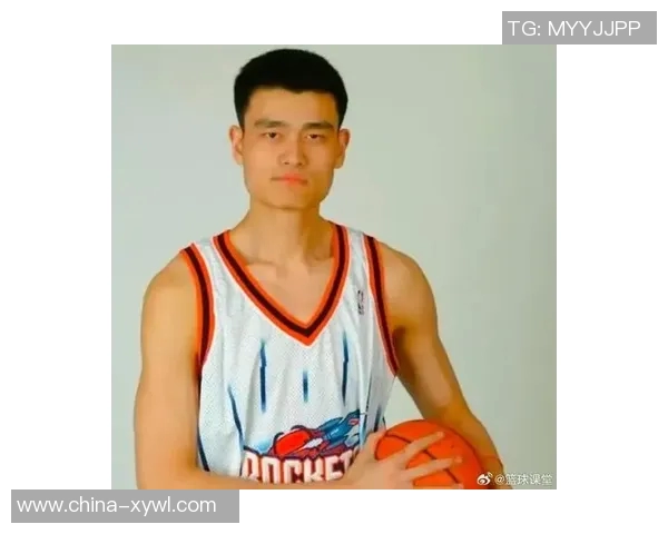 姚明素描头艺术作品展现篮球巨星的独特魅力与个人风采 姚明素描头艺术作品展现篮球巨星的独特魅力与个人风采