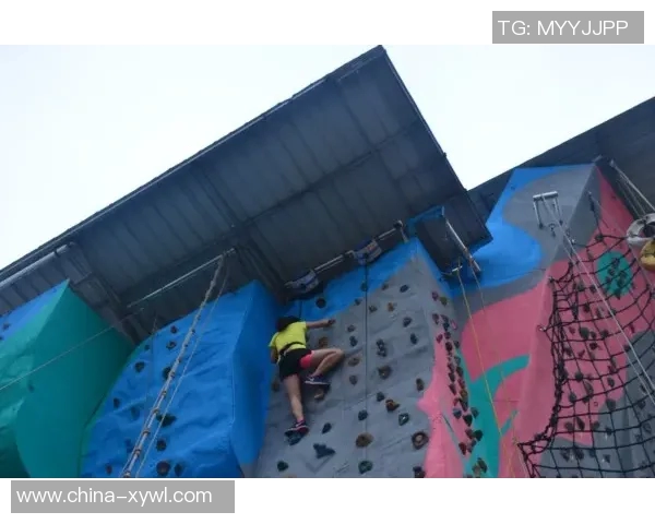 广州攀岩队区域防守分析与比赛表现的深度探讨