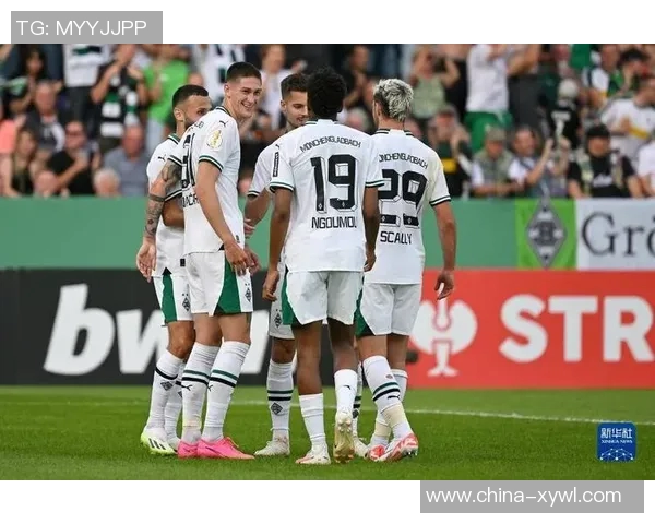 斯图加特对阵门兴格拉德巴赫：战术大比拼！