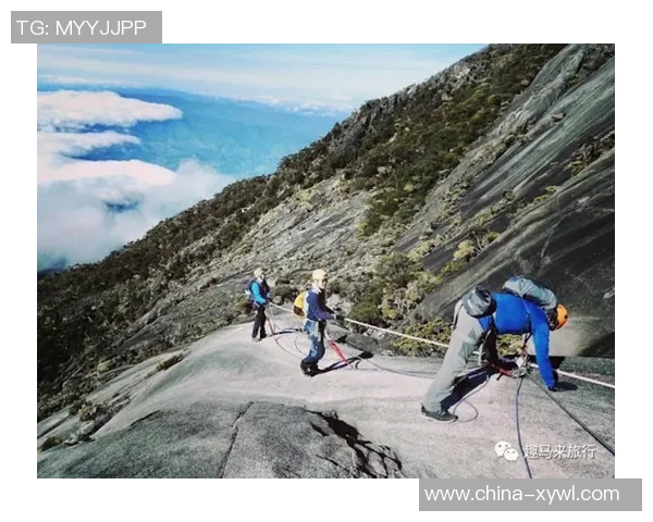 极限运动战术解析北京极限运动队的创新进攻体系与战术思考